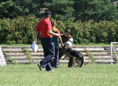 Estonian championship 2007 in IPO 3